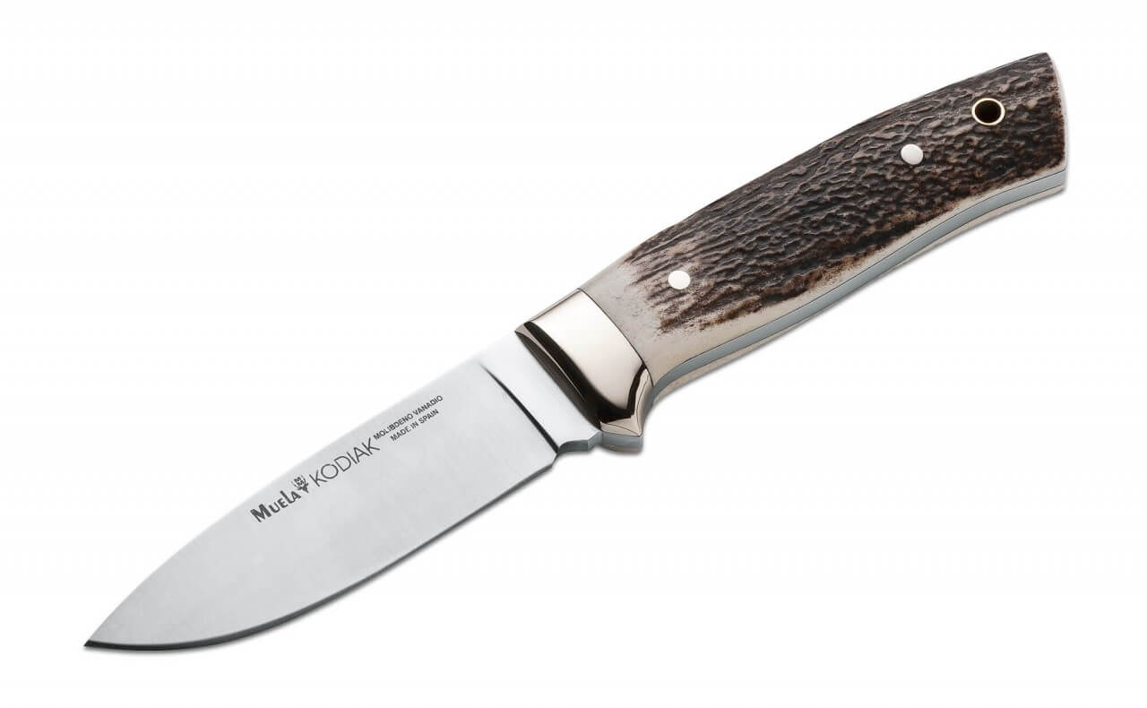 Kodiak Stag