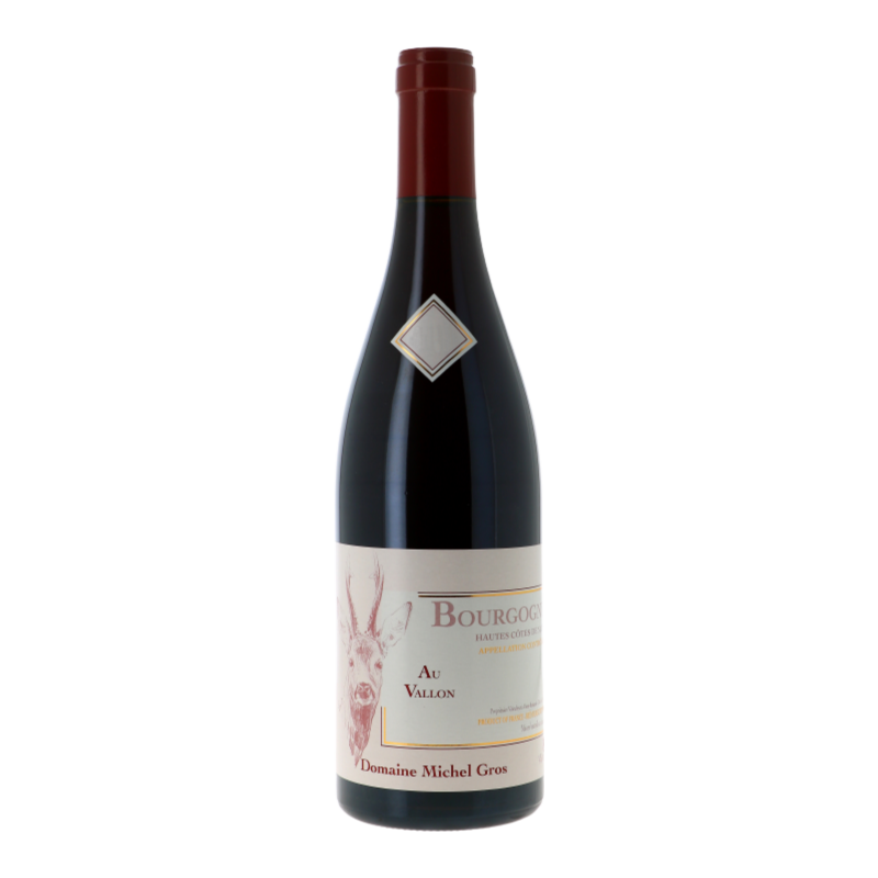 Bourgogne Hautes Côtes de Nuits Au Vallon 2021 - Bourgogne Hautes Côtes de Nuits - Bourgogne - Michel Gros (75CL.)