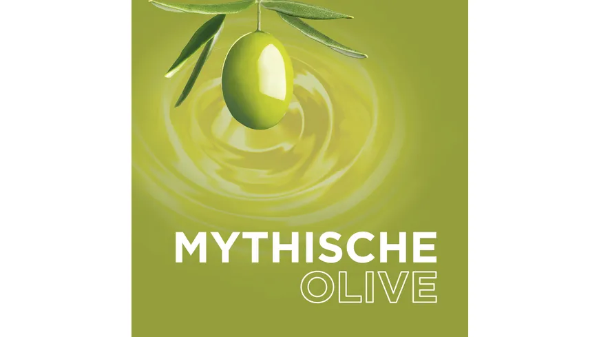 Garnier Wahre Schätze Shampoo Mythische Olive 300 ml