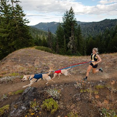 Ruffwear Switchbak Harness, Blue Moon