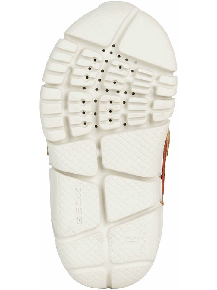Geox Boots 
