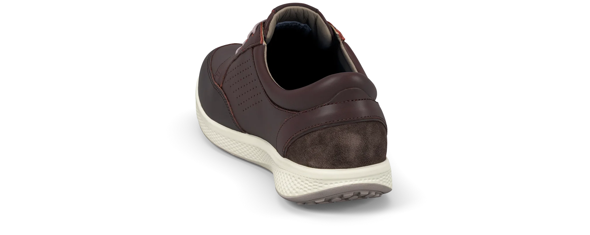 Boston dark brown