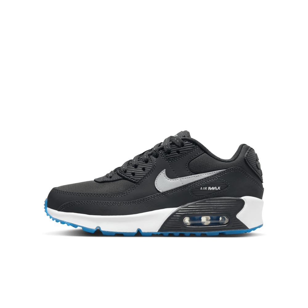 Nike Air Max 90 FV0361-001 / grau