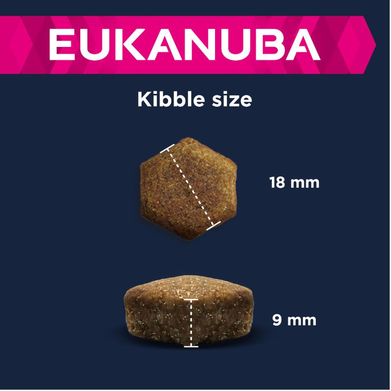 Eukanuba Adult Large Breed Lamm & Reis