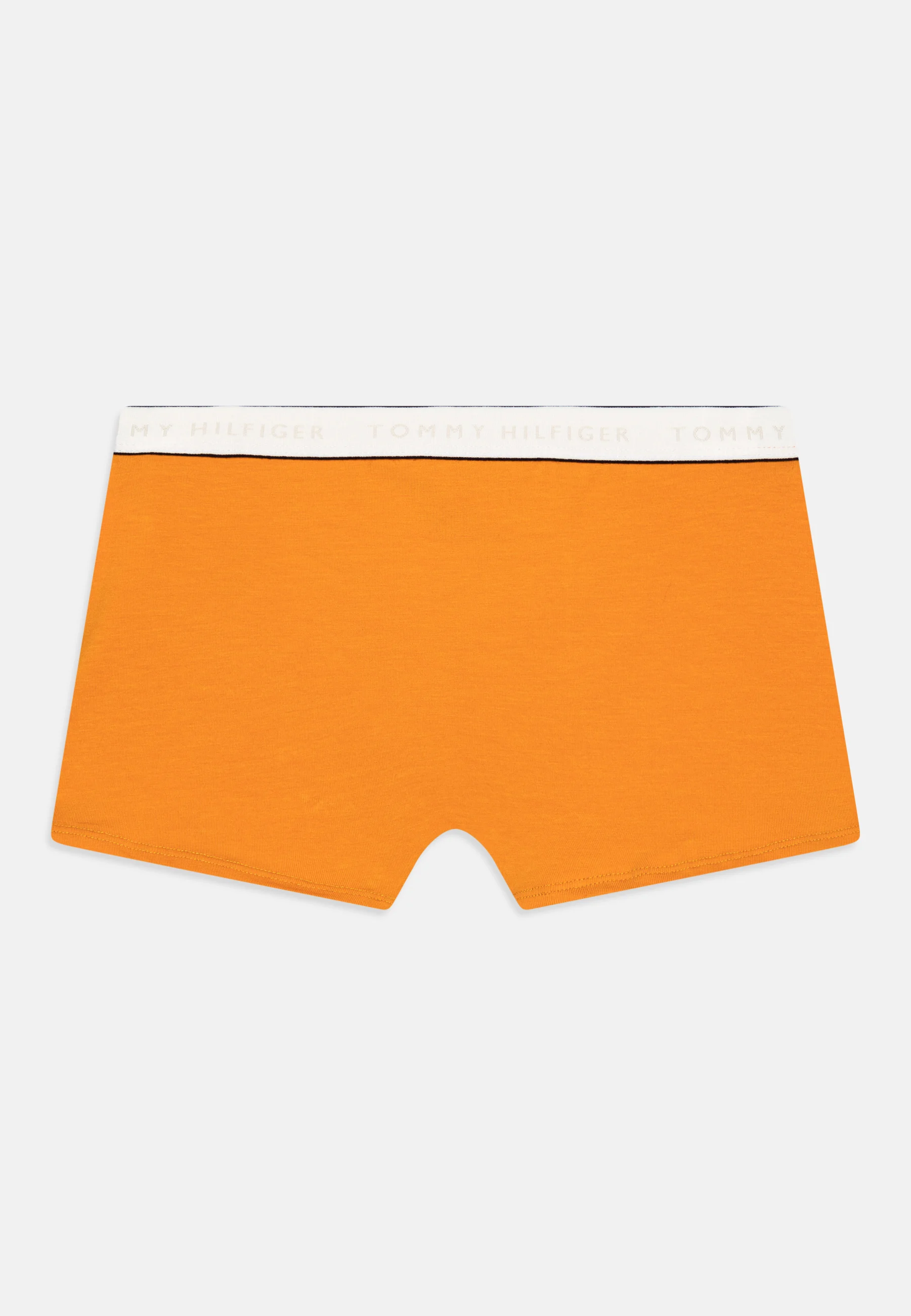 Tommy Hilfiger TRUNK PACK DE 2 - Culotte