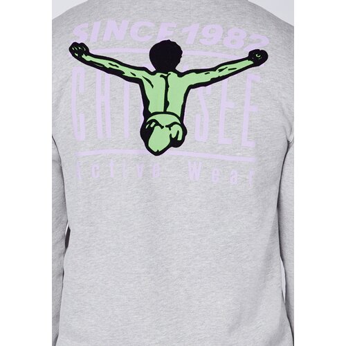 HOODIEJACKE MIT GROSSEM BACKPRINT