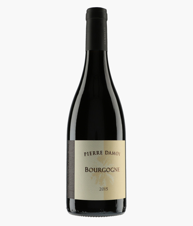 Bourgogne 2015DAMOY PIERRE