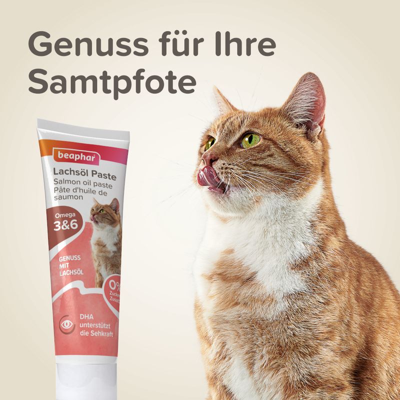 Beaphar Lachsöl Paste für Katzen zu TOP-Preisen