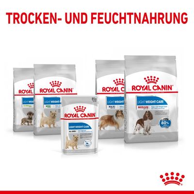 Royal Canin Light Weight Care Mousse