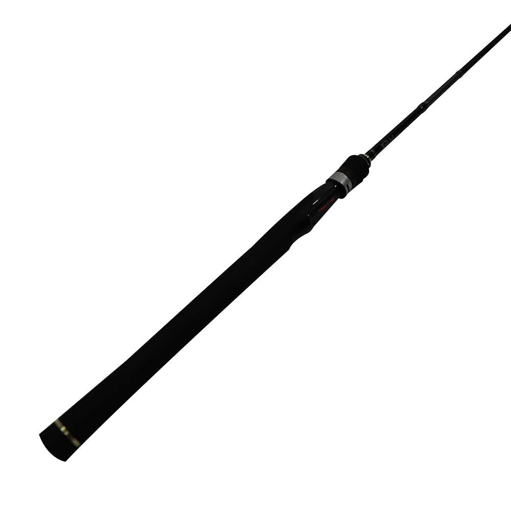 Major Craft Ultra Light Spinnrute + Daiwa 1000 Rolle