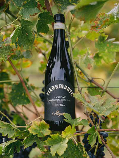 Allegrini : Riserva Fieramonte 2012