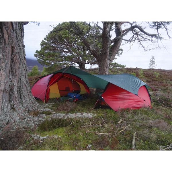 TARP 10 UL - Tarp