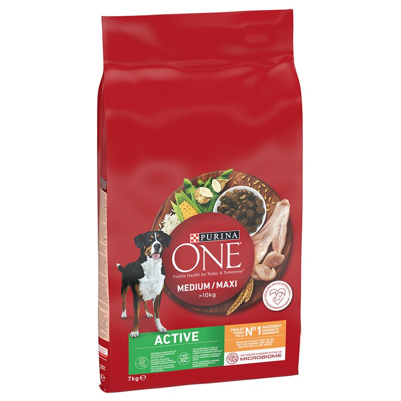 PURINA ONE Medium/Maxi Active Huhn zu TOP-Preisen