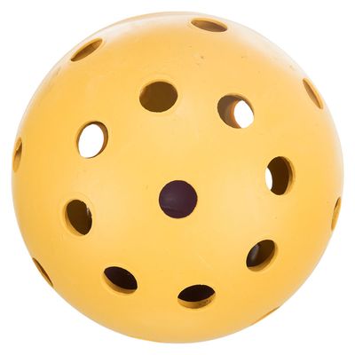 Trixie Ball für sehbehinderte Hunde