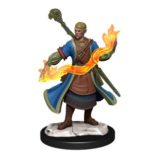 D&D Nolzur's Marvelous Miniatures - Half-Elf Wizard Male (2)
