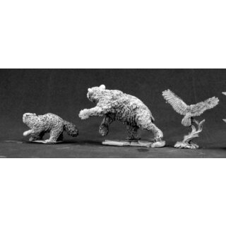 Animal Companions 1 (REA03456)