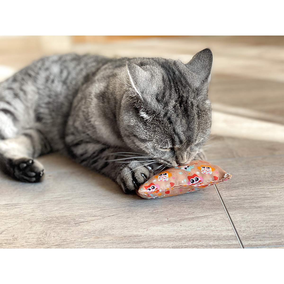 Aumüller Katzenspielkissen Minzini günstig kaufen