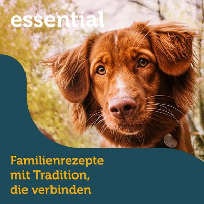 mera essential Univit Mix Menü