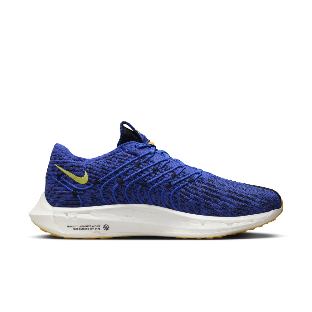 Nike Pegasus Turbo Next Nature DM3413-401 / blau