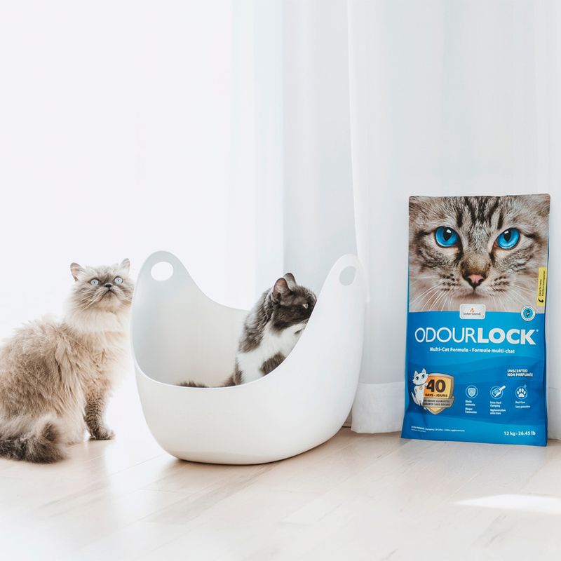 ODOURLOCK Katzenstreu Parfümfrei zu TOP-Preisen