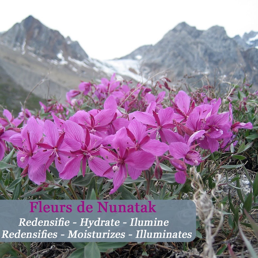 Polaar Neige Eternelle Crème Jeunesse aux Fleurs Arctiques