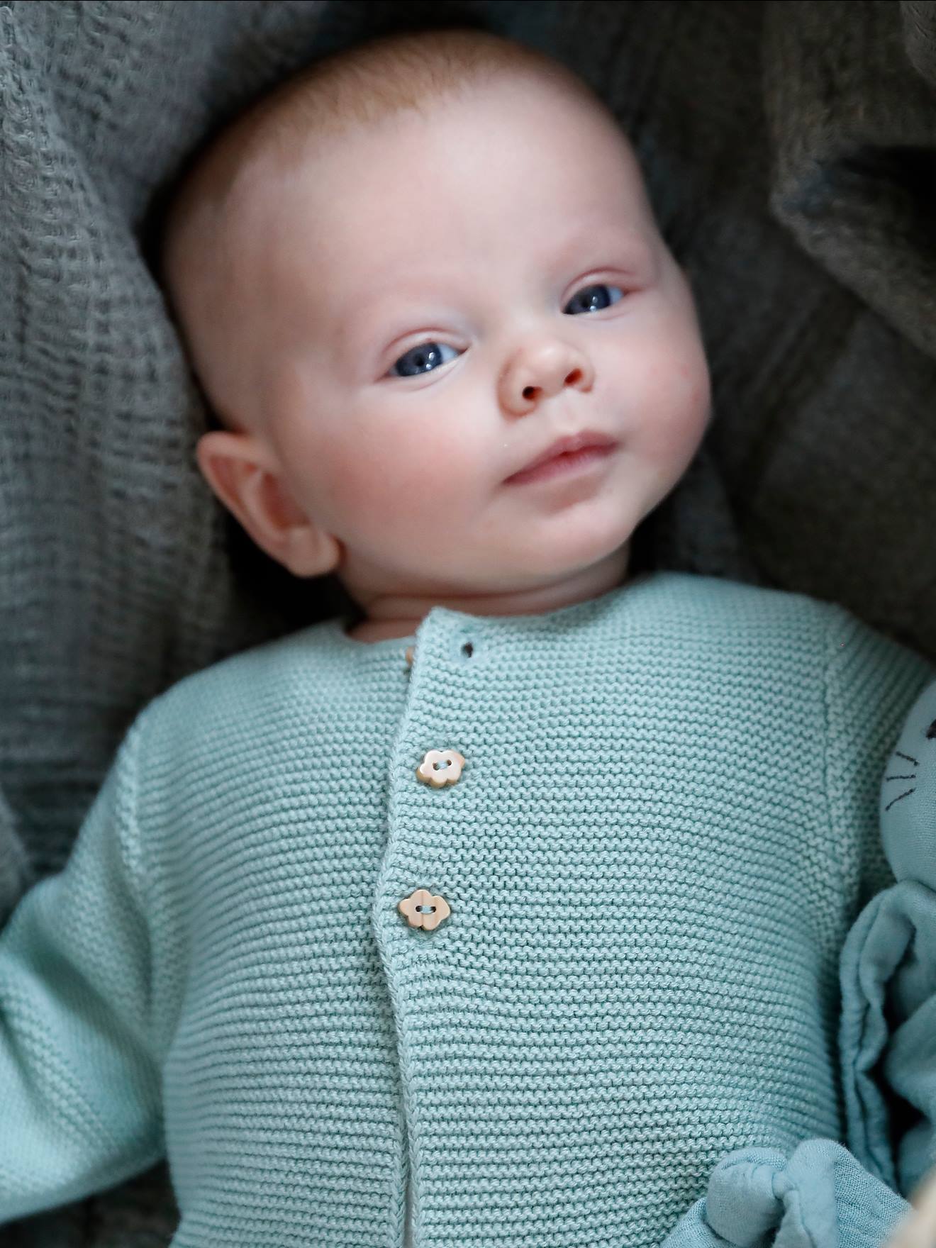 Vertbaudet 5-teiliges Baby-Set mit Beutel, Print mit Katze oder Hund Oeko Tex - wollweiß katze/nachtblau gestr