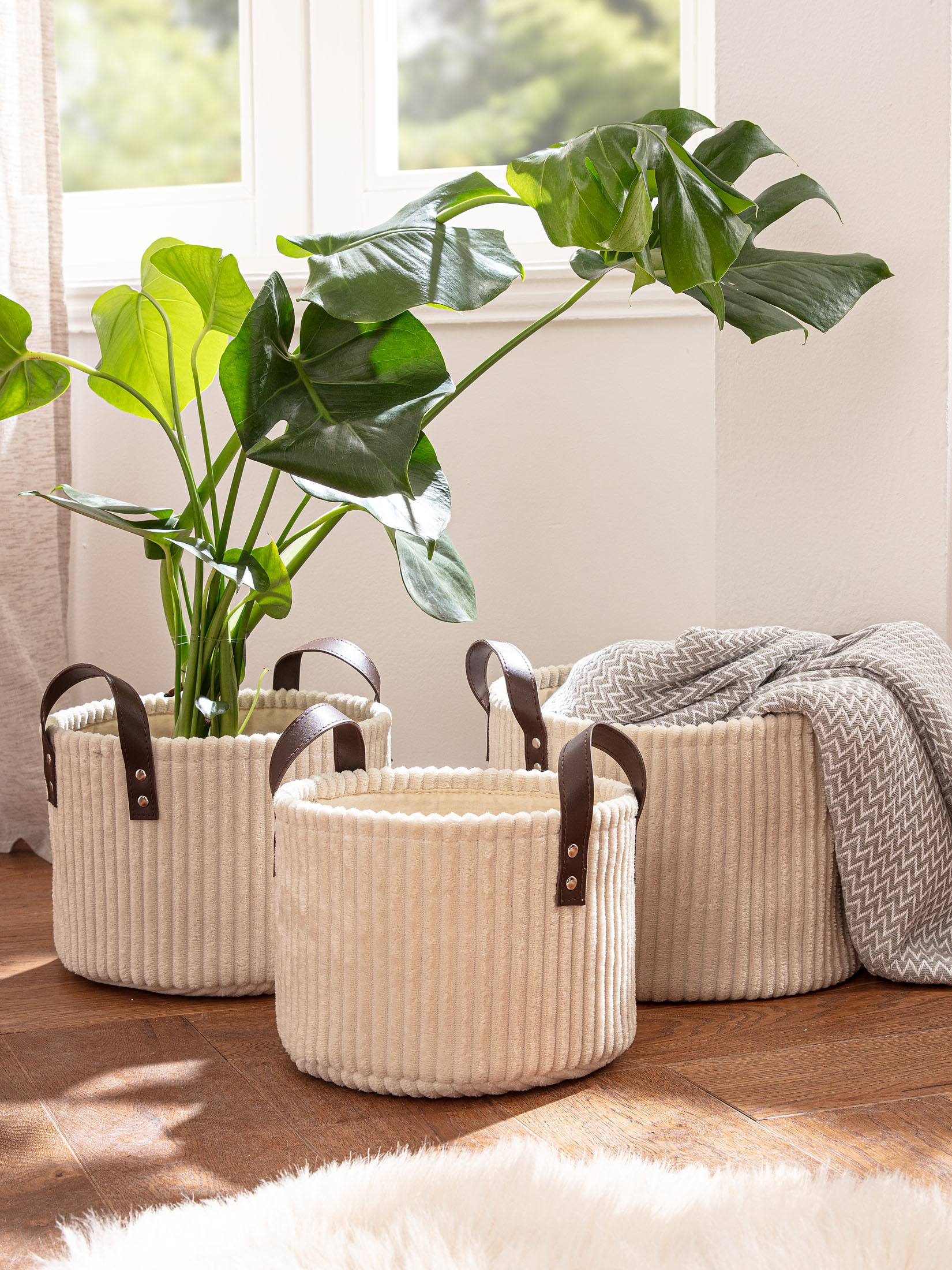 Cordula Korb, Beige