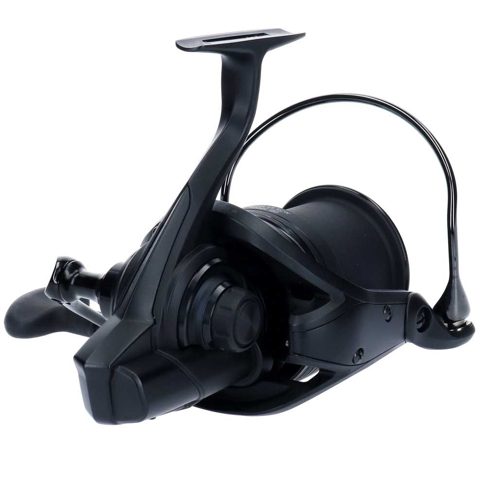 Daiwa basia 19 45 scw qd ritė