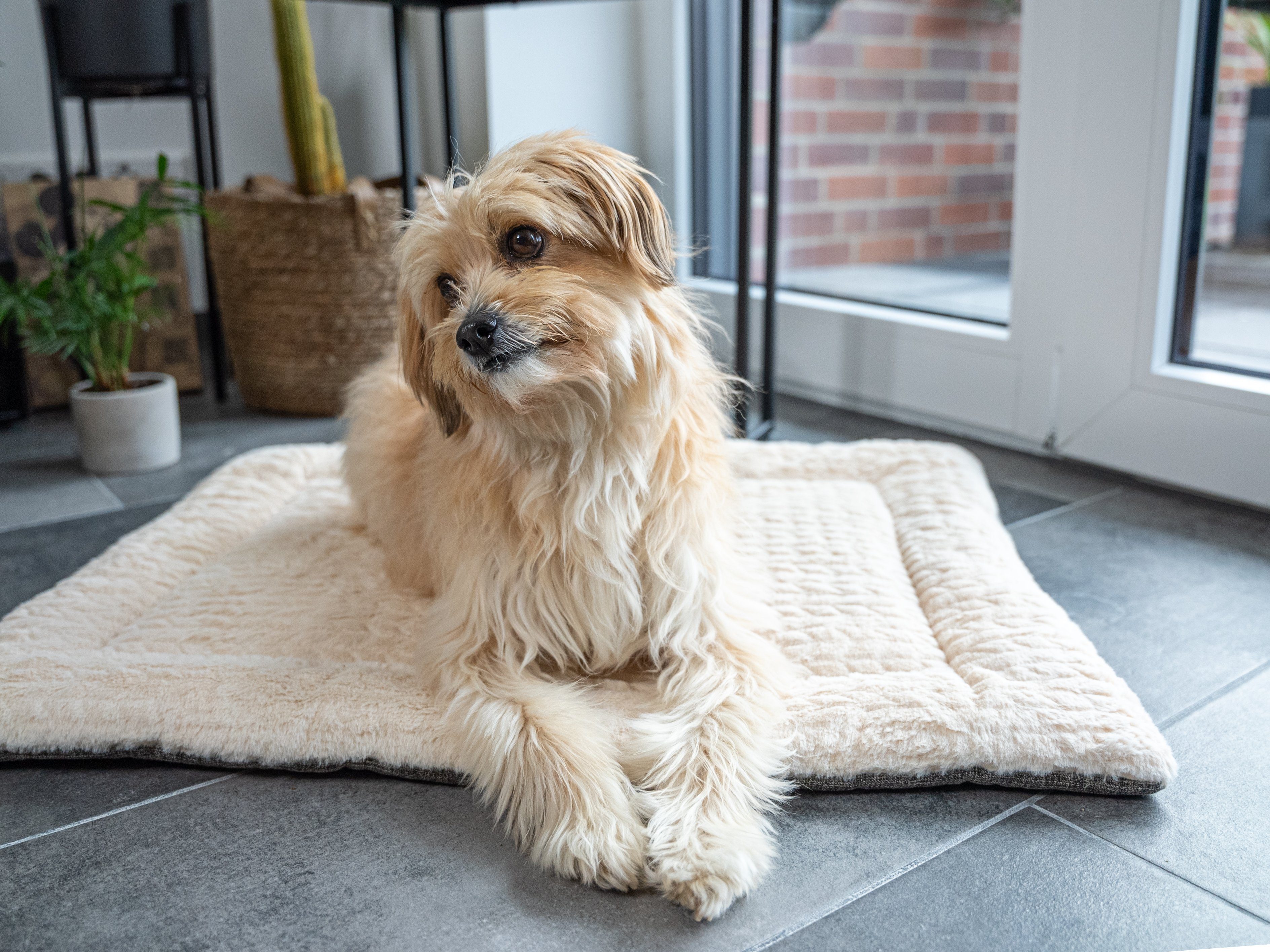 TrendPet Tierdecke Hundedecke 