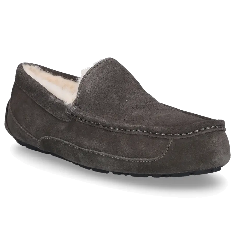 UGG - Hausschuhe ASCOT Gefüttert - grau