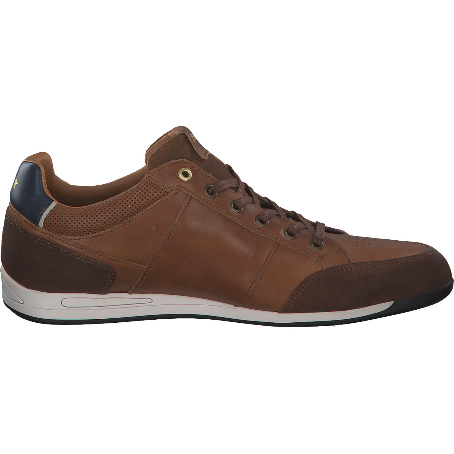 Pantofola d´Oro Olbia Uomo Low 10231014, Klassische- & Business Schuhe, Herren, TORTOISE SHELL