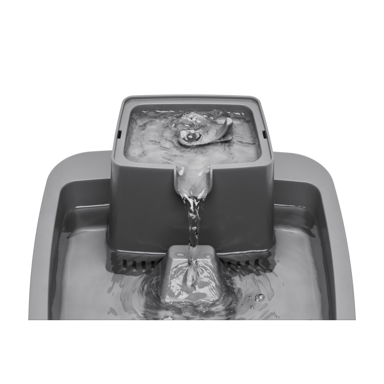 PetSafe Trinkbrunnen PetSafe Trinkbrunnen 1,8 l
