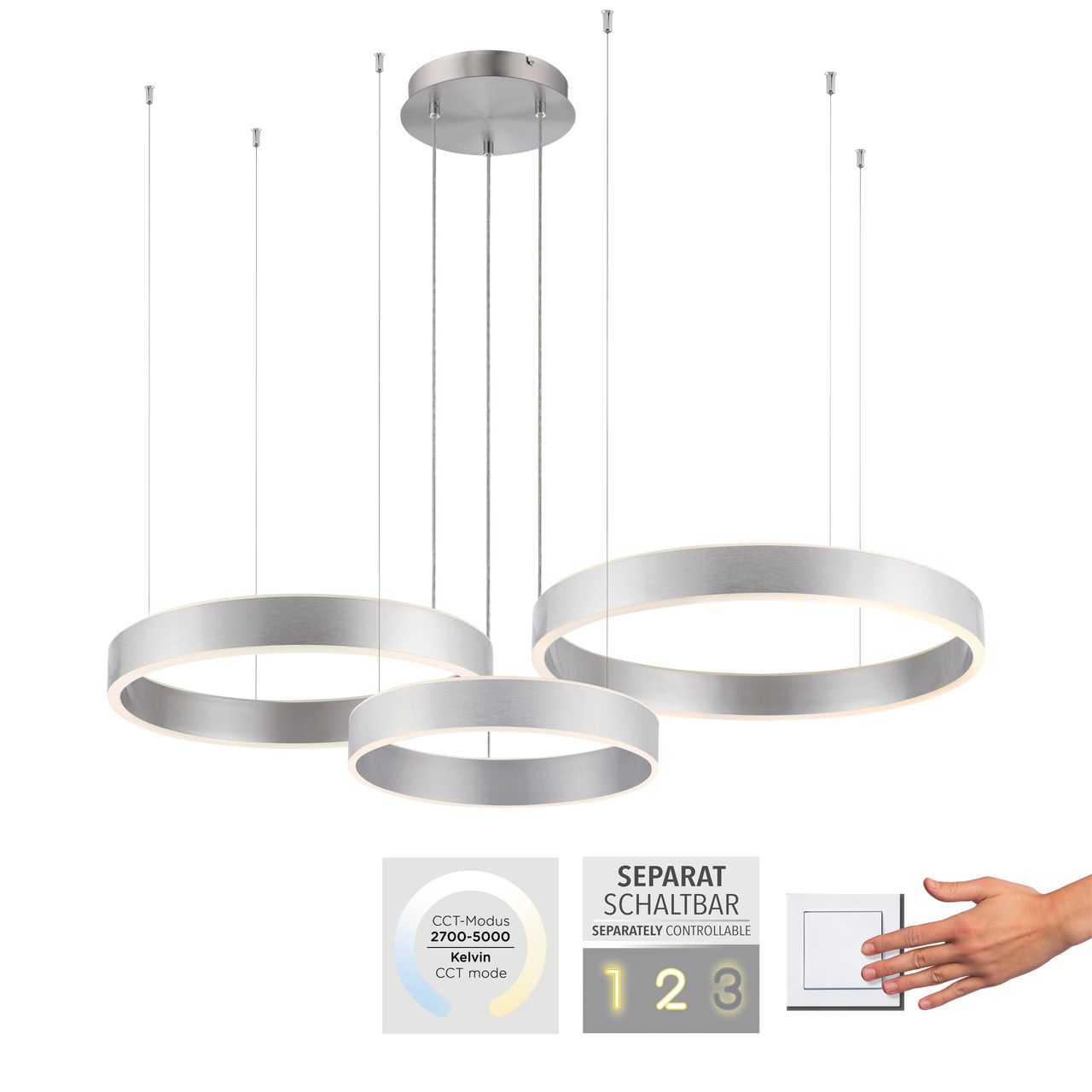Paul Neuhaus LED Pendelleuchte SCULLI, CCT, dimmbar, separat schaltbar, Stahl