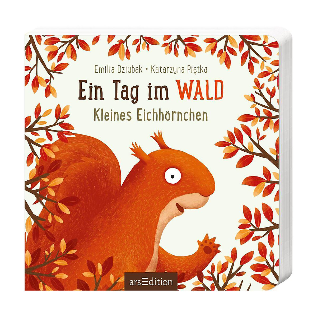 Ein Tag im Wald: Eichhörnchen