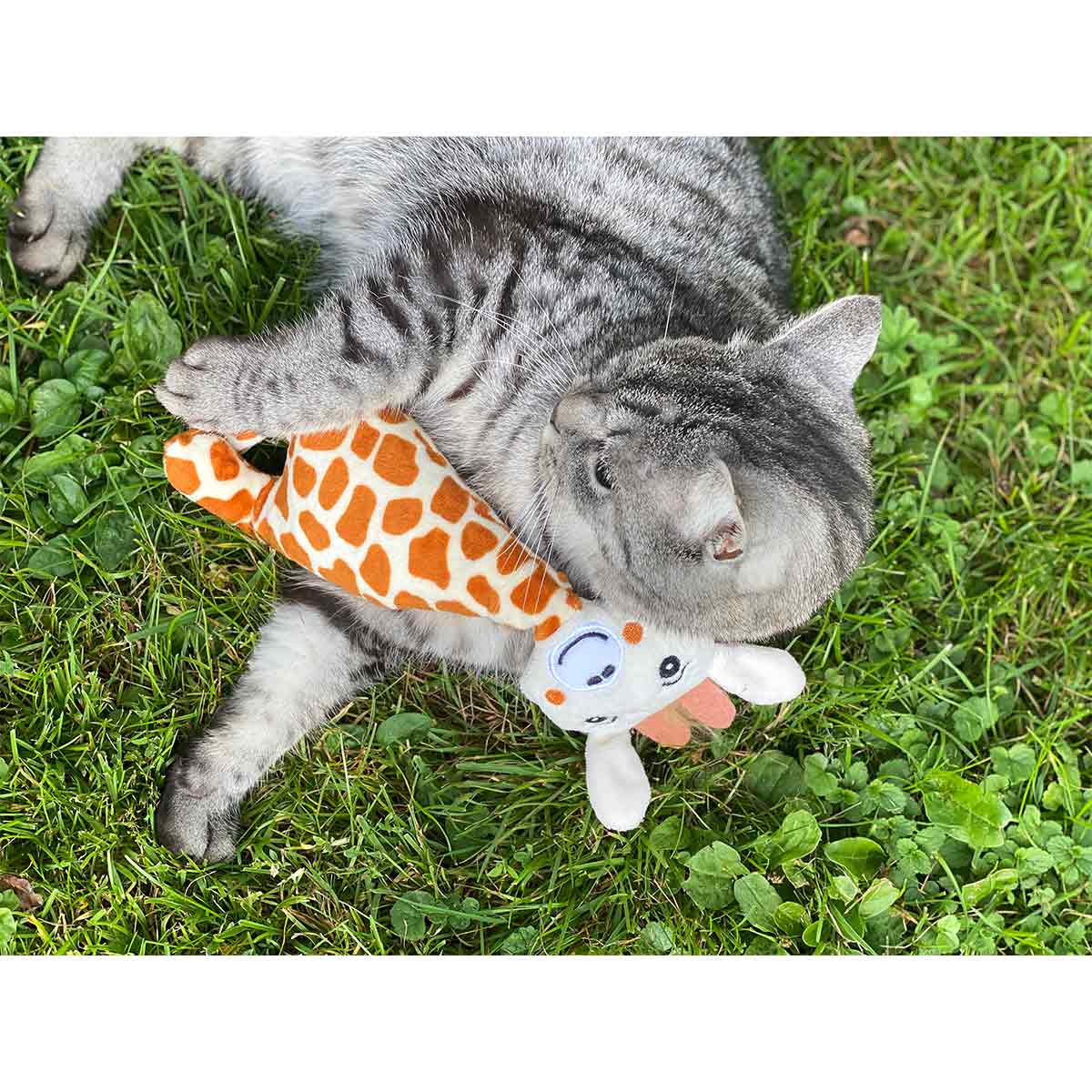 Aumüller Giraffe Gina Katzspkielkissen kaufen