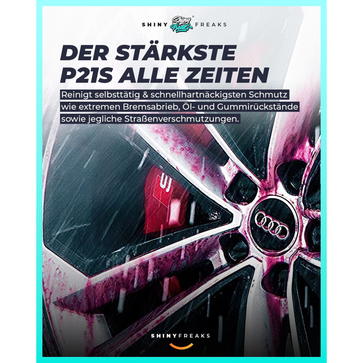 Felgenreiniger Set Dr. Wack - P21S High End