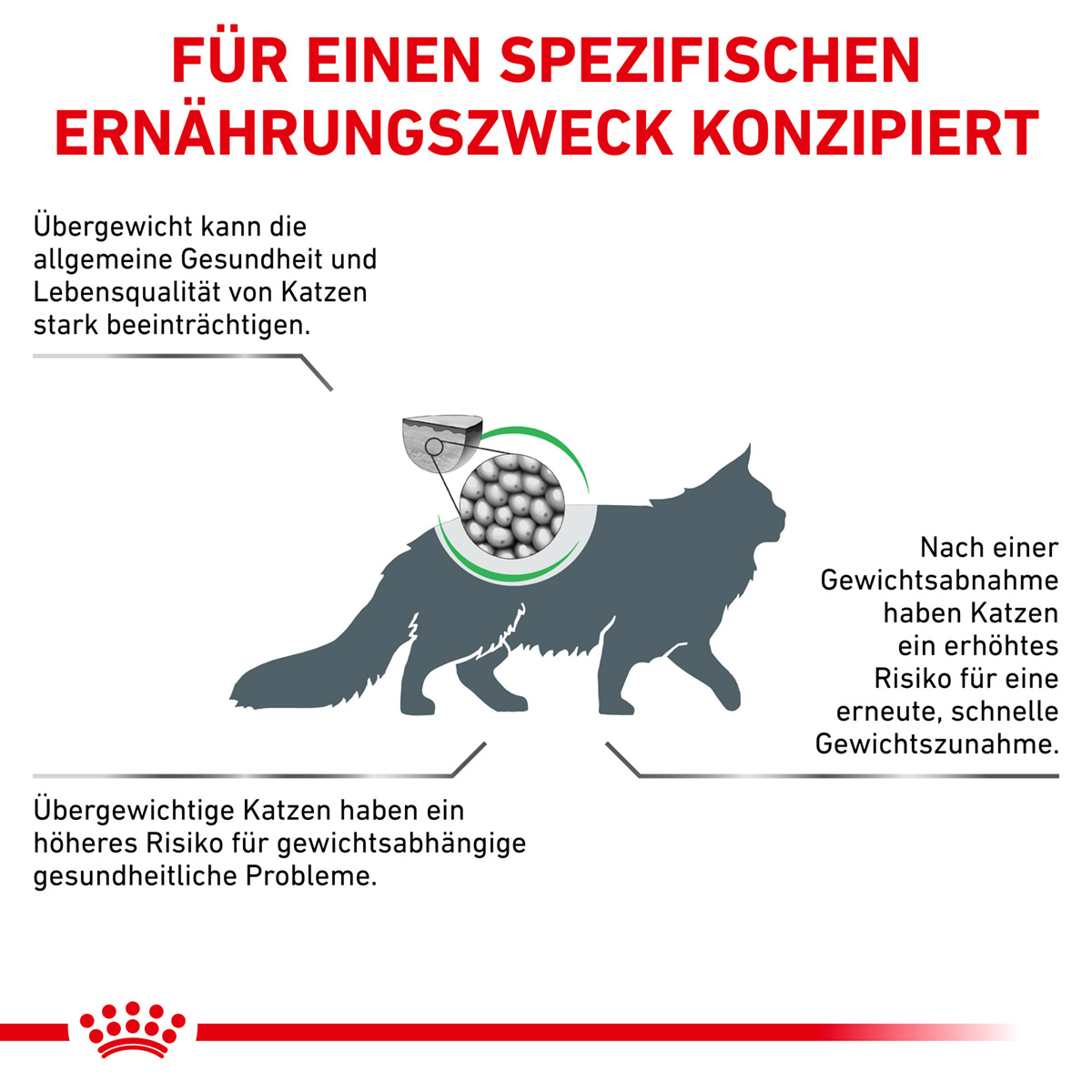 ROYAL CANIN Veterinary SATIETY WEIGHT MANAGEMENT Trockenfutter für Katzen