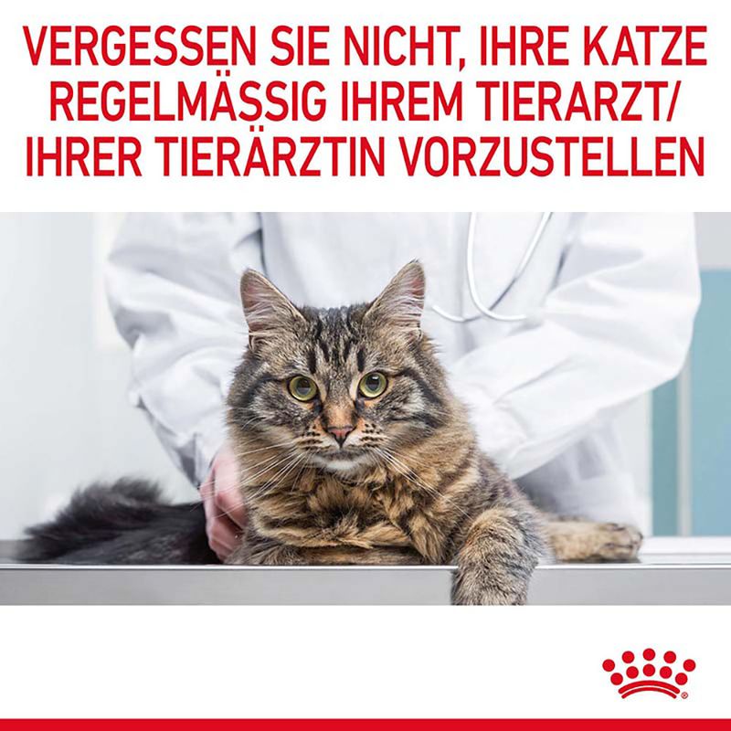 Royal Canin Urinary Care in Soße zu TOP-Preisen
