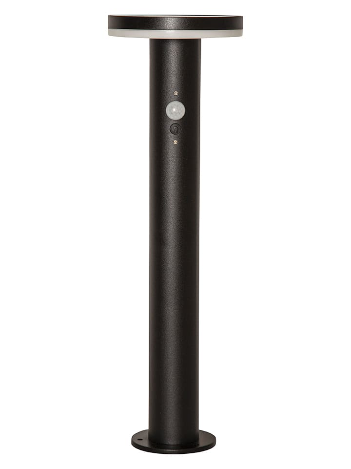 STAR Trading LED-Solar-Wegleuchte 