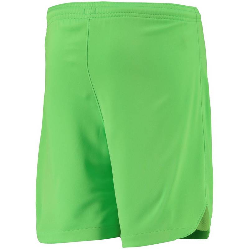 Nike Paris Saint-Germain Heim 2022-23 Fußballshorts Kinder