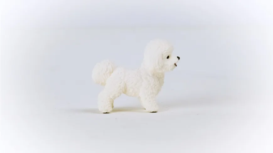 Schleich 13963 - Farm World - Bichon Frisé