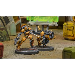 Su-Jian Immediate Action Unit