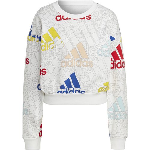 DAMEN SWEATSHIRT W BLUV Q3 SWT G