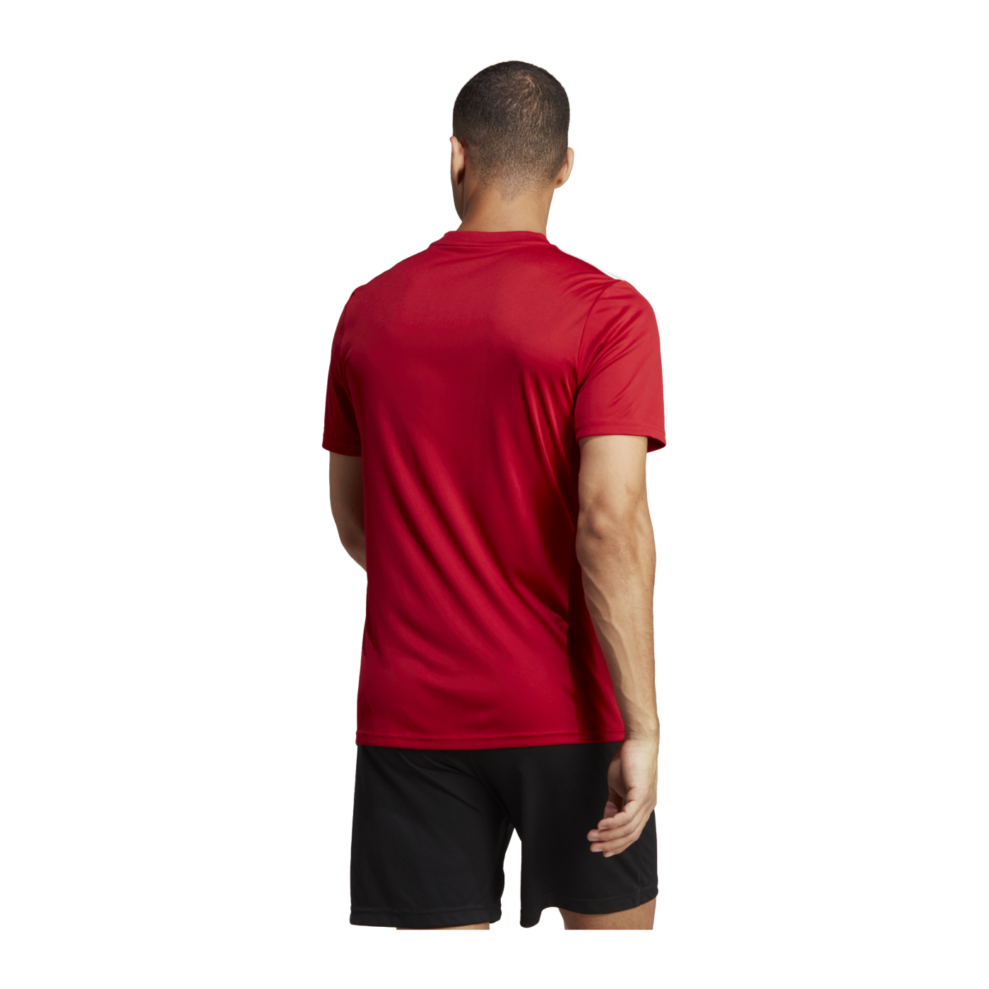 adidas Team Icon 23 Trikot Rot