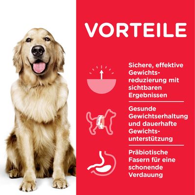 Hill's Science Plan Adult 1+ Perfect Weight Large mit Huhn