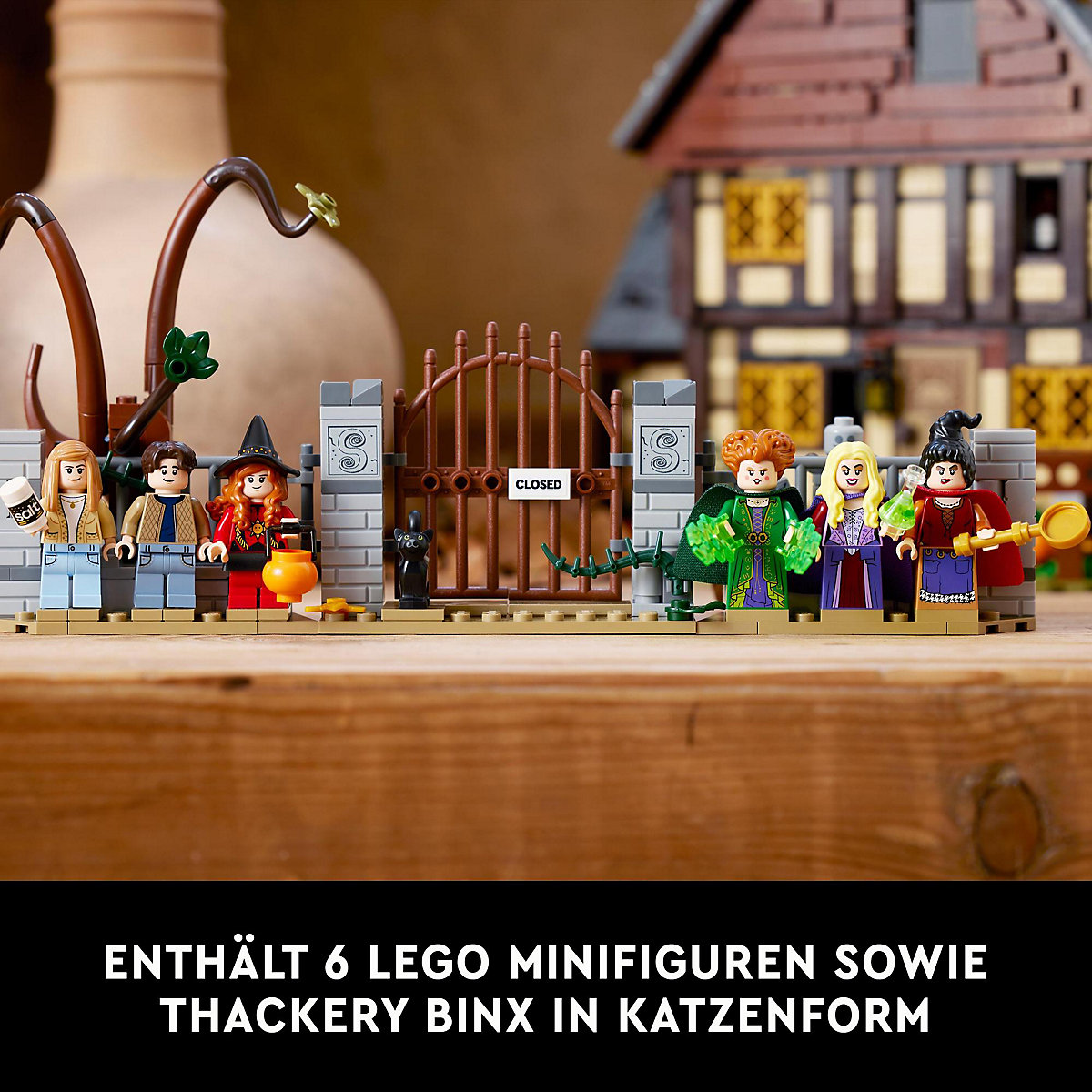 LEGO® Ideas 21341   Hocus Pocus: Das Hexenhaus der Sanderson-Schwestern