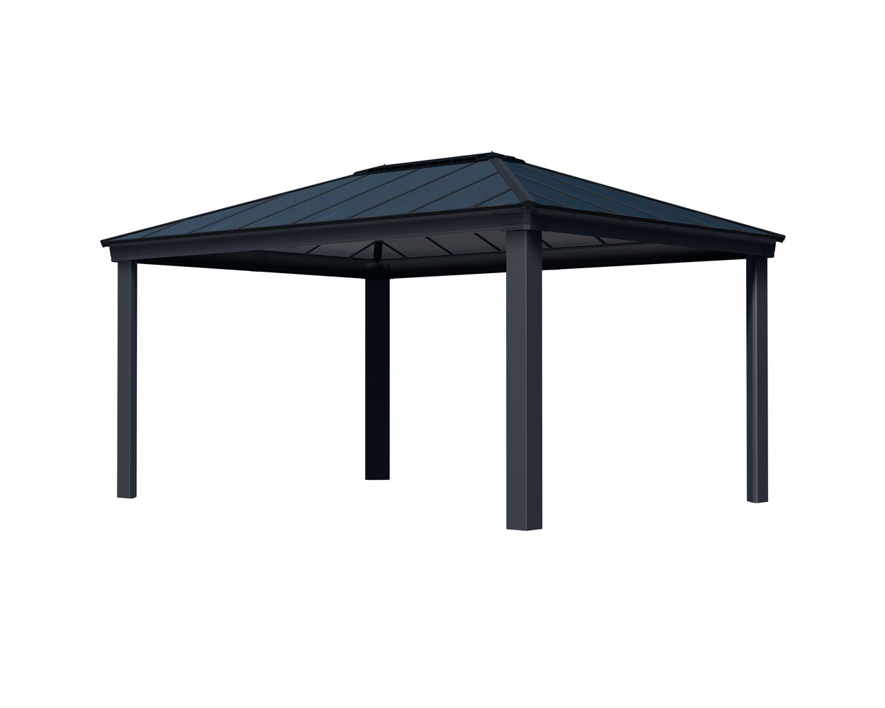 Canopia by Palram Palram Aluminium Pavillon Dallas 4900