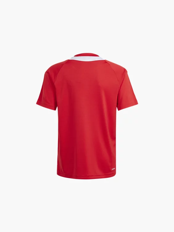 adidas Trikot
