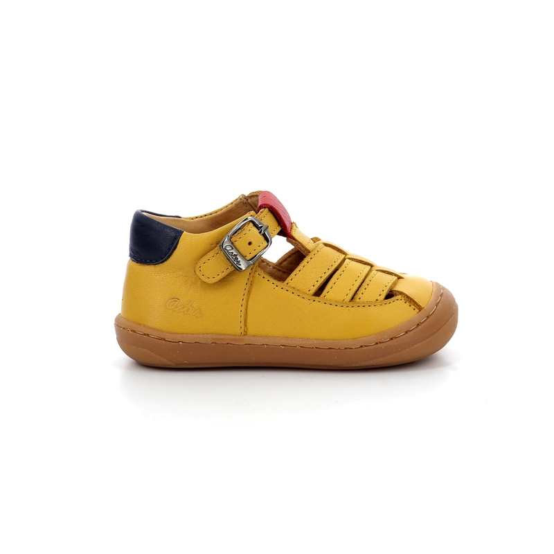 Salomés cuir Crusile