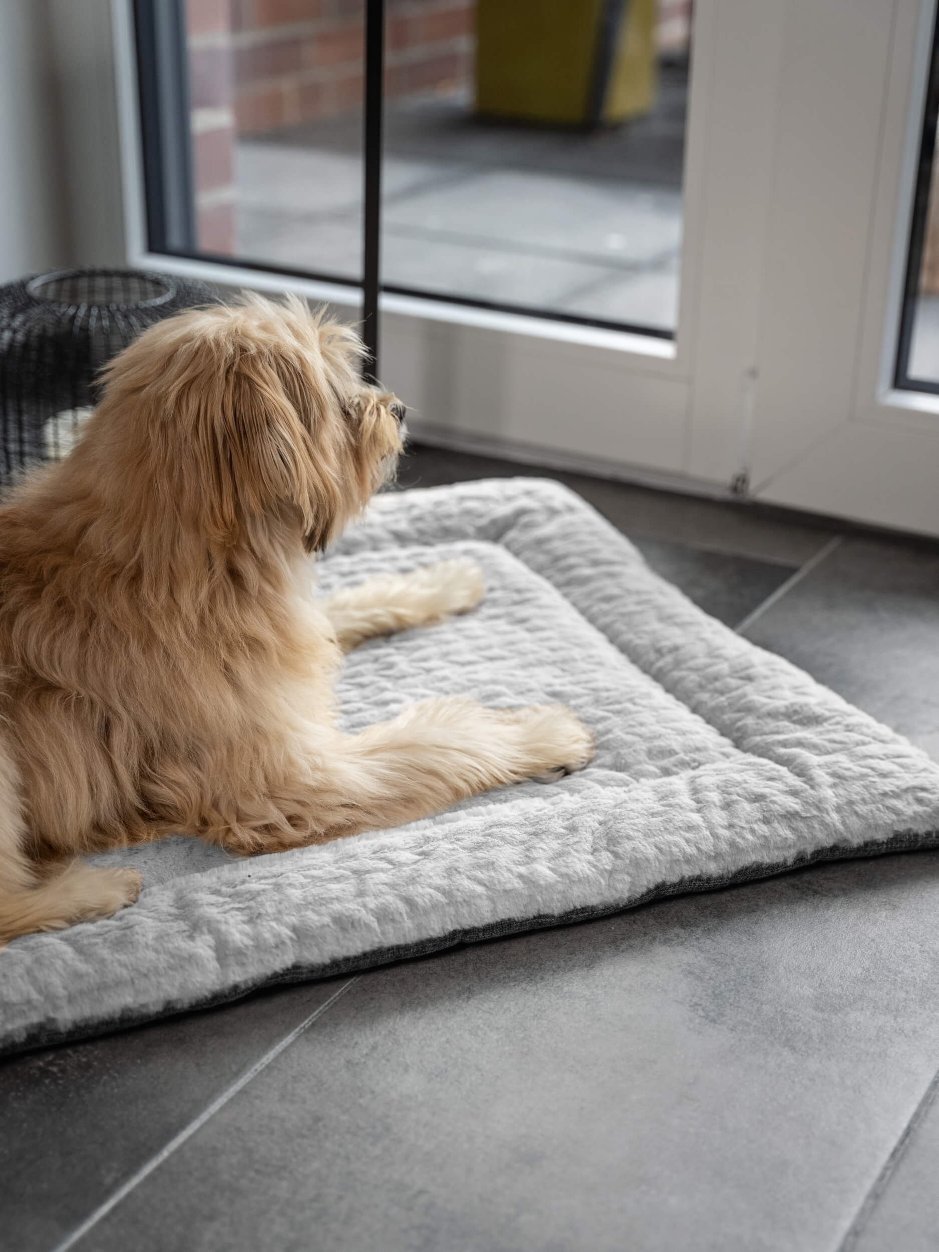 TrendPet Hundedecken TrendPet Heaven gefütterte Liegedecke XL